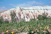 Cappadocia, the Rose valley